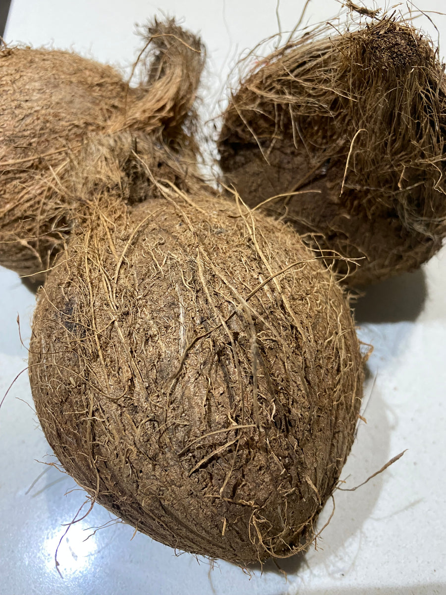 COCONUT (Raw)