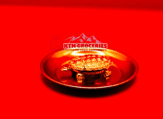 TORTOISE IN PLATE (Brass)