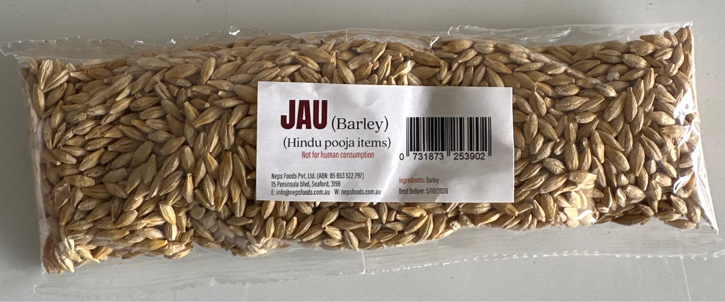 JAU (BARLEY)